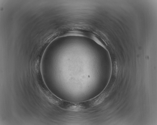 X0000085260364200703091330