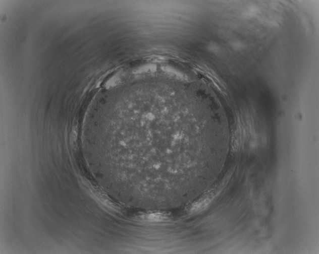 X0000085260365200703091330