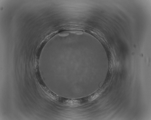 X0000085260367200703091330