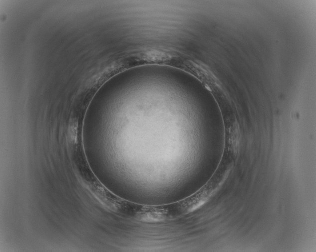 X0000085260368200703091330