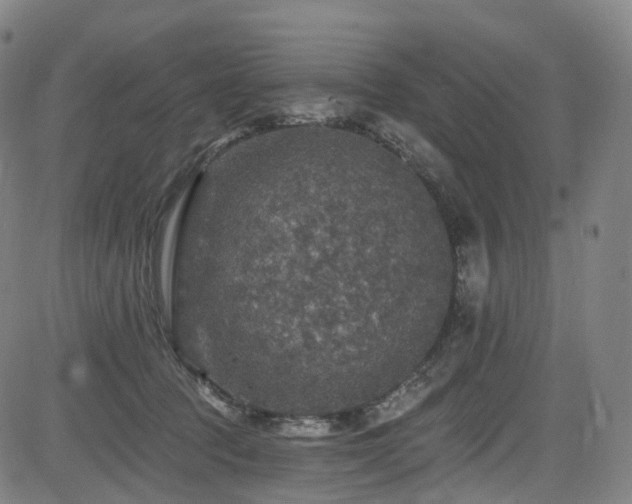 X0000085260369200703091330