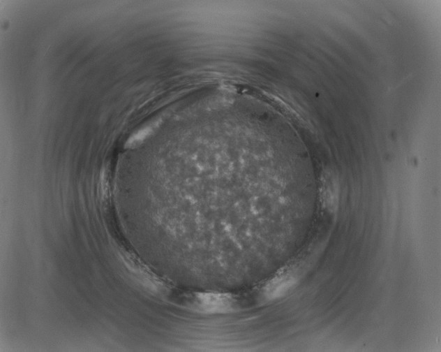 X0000085260371200703091330