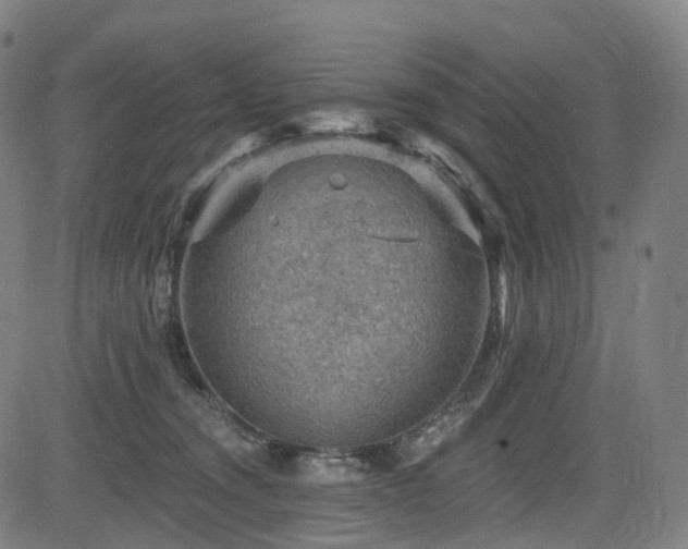 X0000085260372200703091330