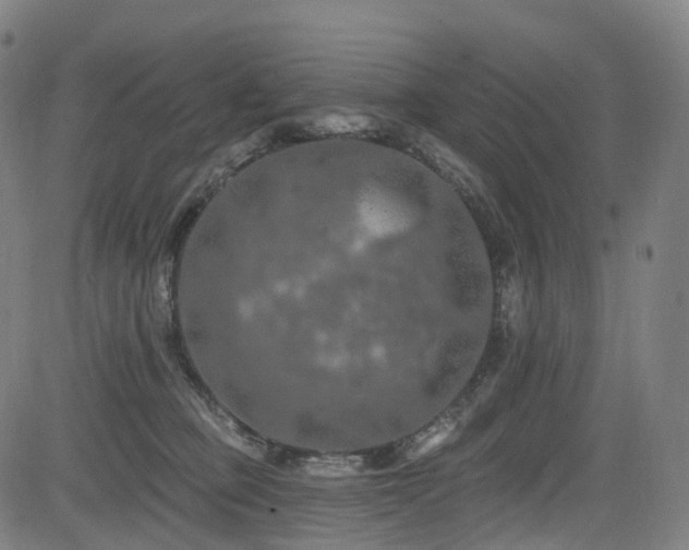 X0000085260373200703091330