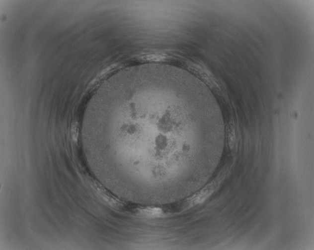 X0000085260374200703091330