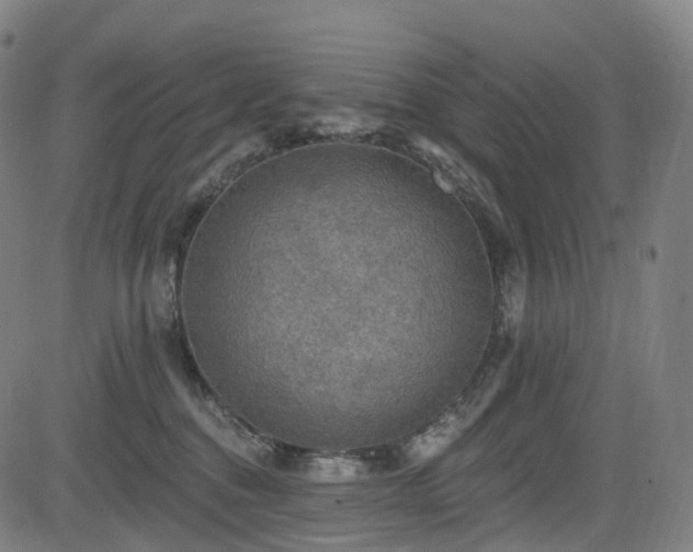 X0000085260376200703091330