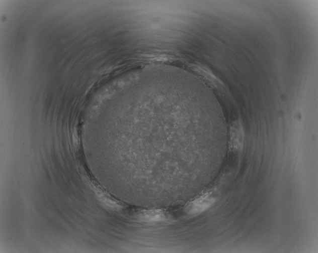 X0000085260377200703091330