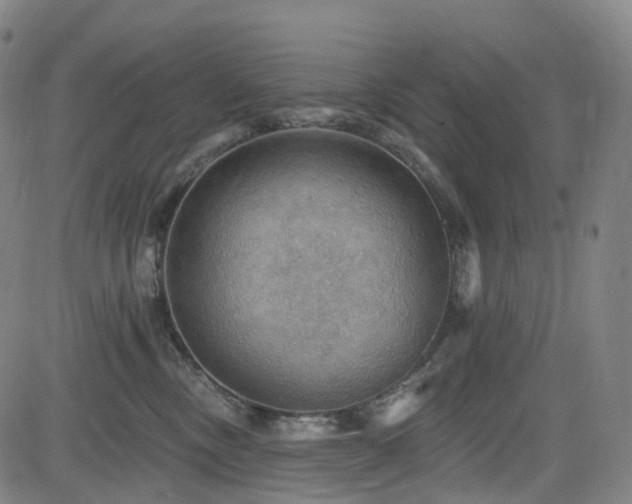 X0000085260378200703091330