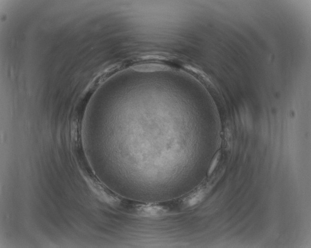 X0000085260379200703091330