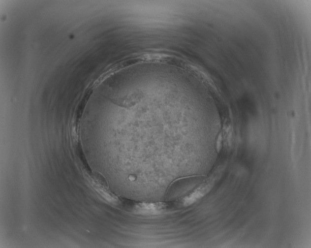 X0000085260381200703091330