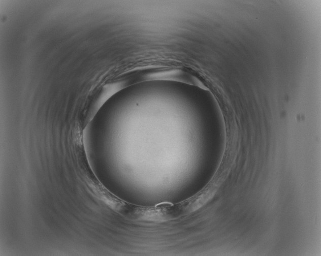 X0000085260384200703091330