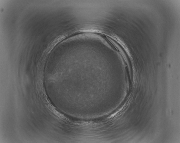 X0000085260385200703091329