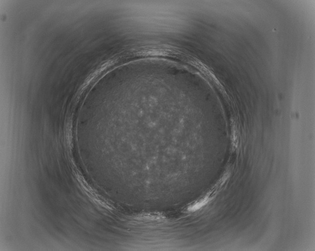 X0000085260386200703091329