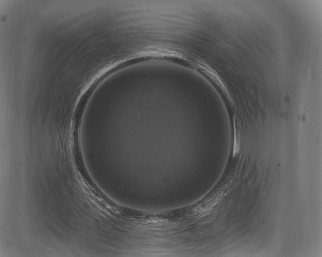 X0000085260387200703091329