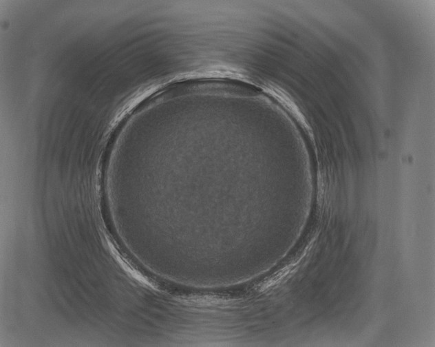 X0000085260389200703091329