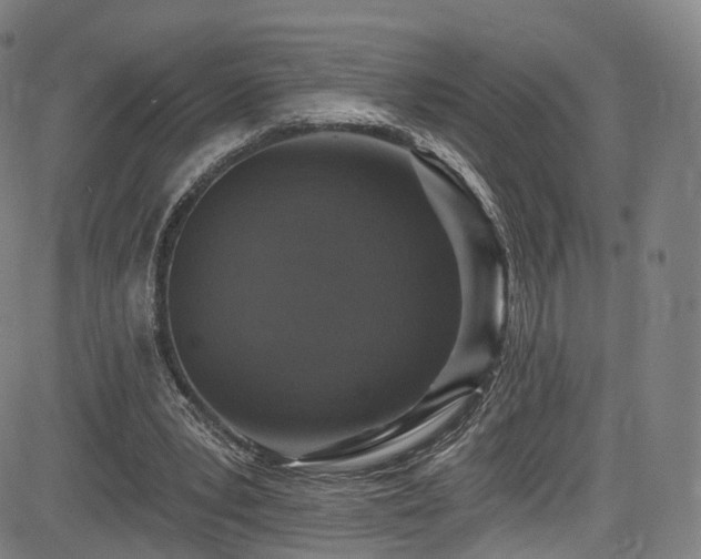 X0000085260391200703091329