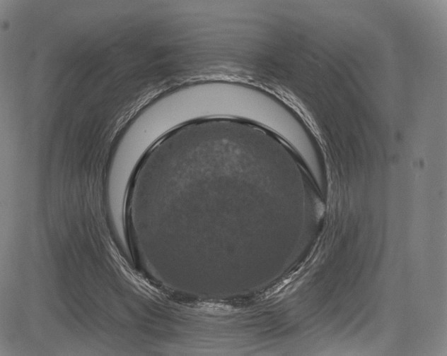 X0000085260393200703091329