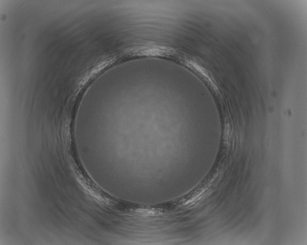 X0000085260394200703091329