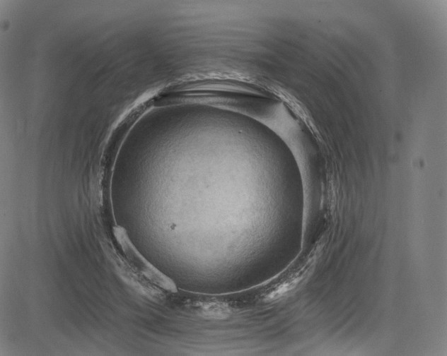 X0000085260395200703091329