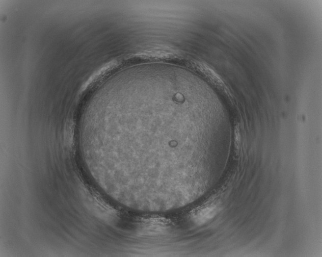 X0000085260396200703091329