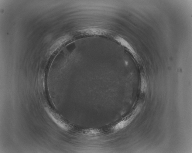 X0000085260398200703091329