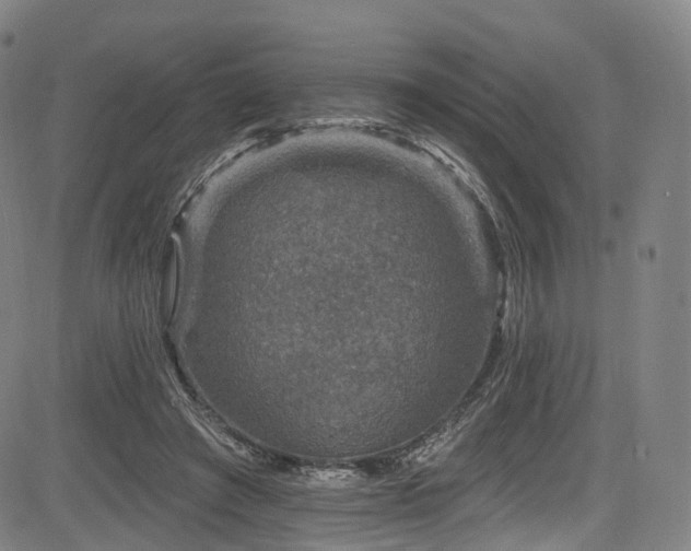 X0000085260401200703091329