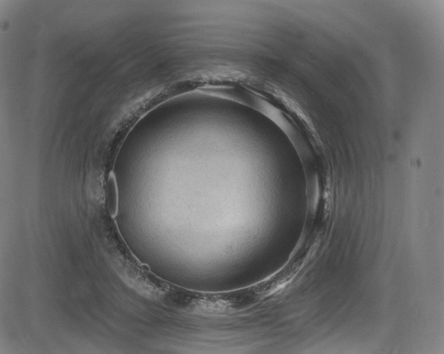 X0000085260403200703091329