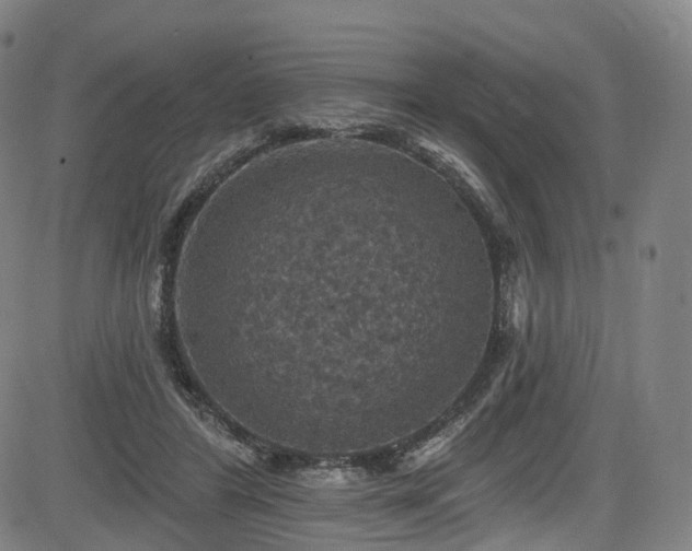 X0000085260404200703091329