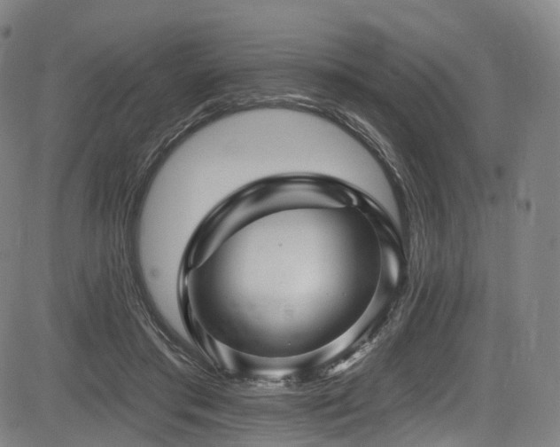 X0000085260405200703091329