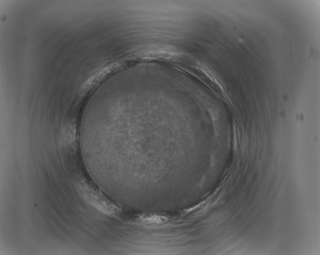 X0000085260407200703091329