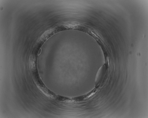 X0000085260408200703091329