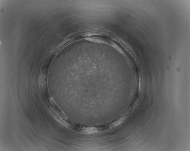 X0000085260409200703091329