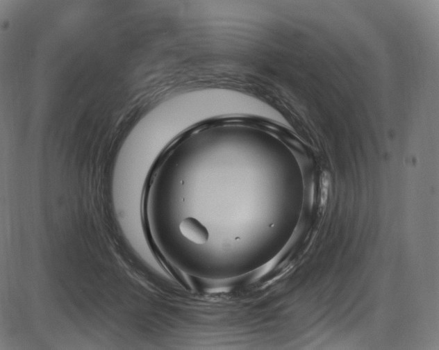 X0000085260412200703091329