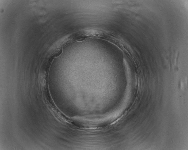 X0000085260413200703091329