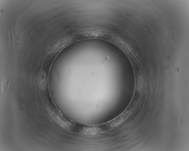 X0000085260414200703091329