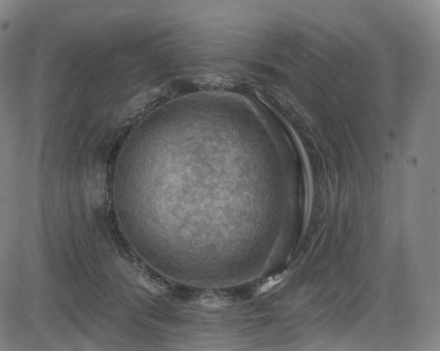 X0000085260416200703091329