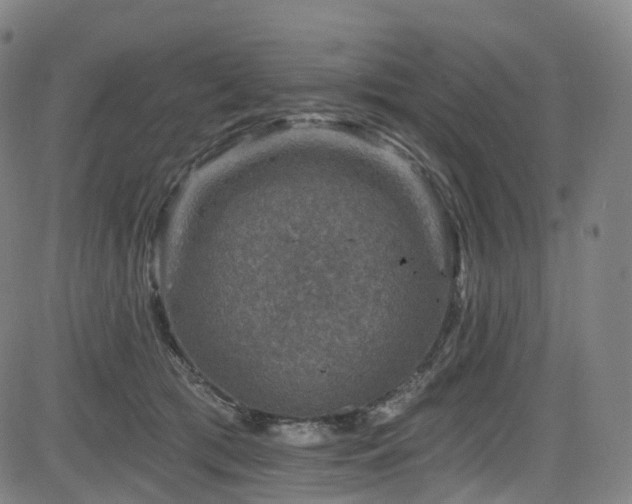 X0000085260417200703091329