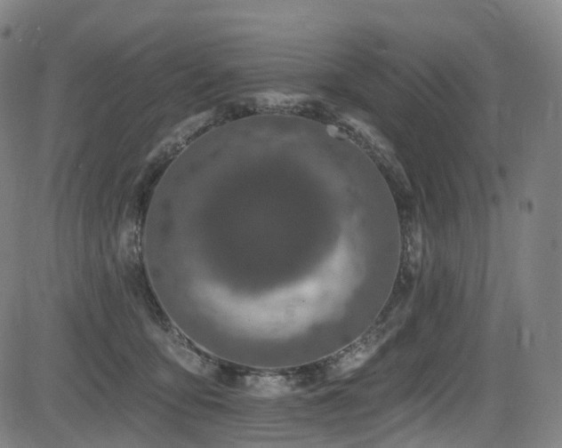 X0000085260419200703091328