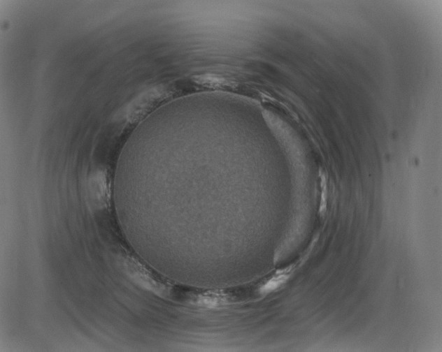 X0000085260420200703091328