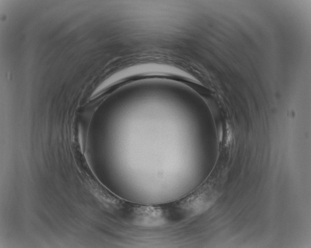 X0000085260421200703091328