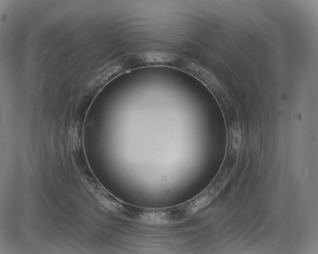 X0000085260422200703091328