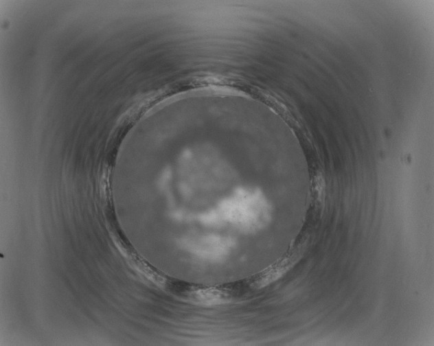 X0000085260423200703091328