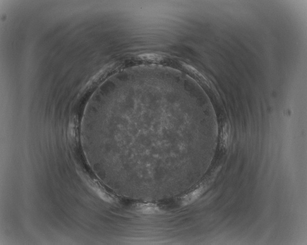 X0000085260424200703091328