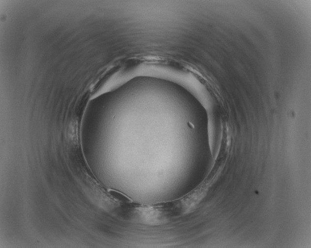 X0000085260425200703091328