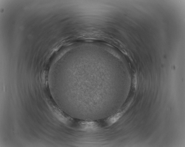 X0000085260428200703091328