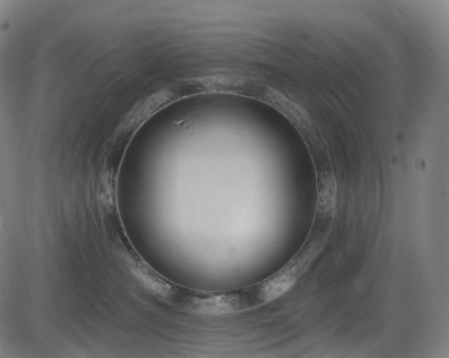 X0000085260430200703091328