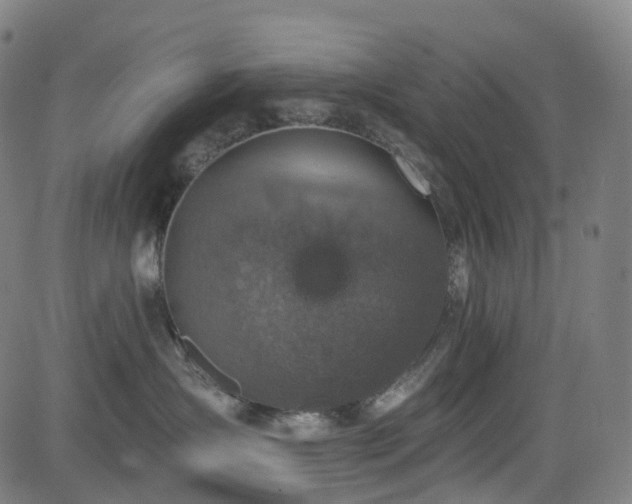 X0000085260431200703091328