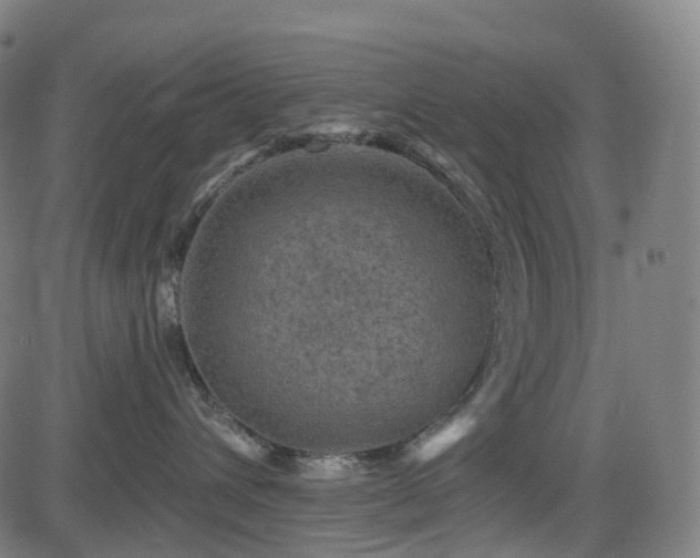 X0000085260432200703091328