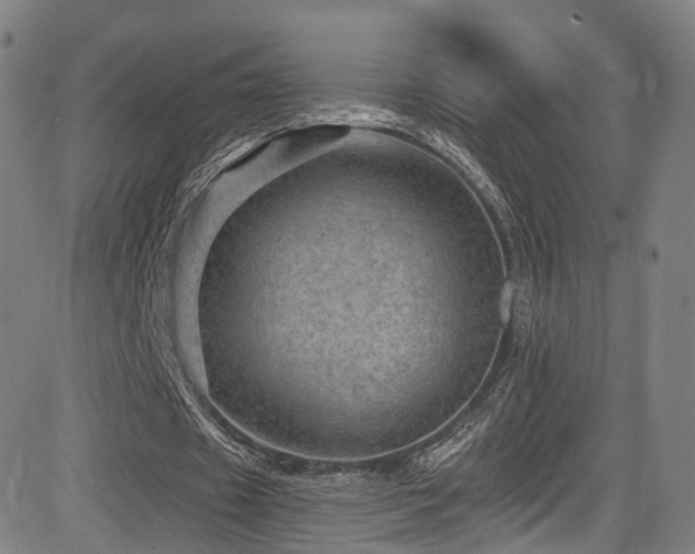 X0000085260433200703091327