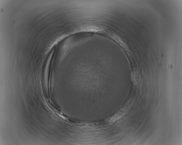 X0000085260434200703091327